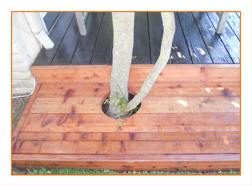 Screenshot description goes here.