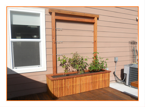 Screenshot description goes here.